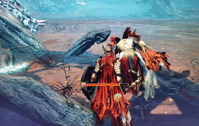 《艾尔登法环》