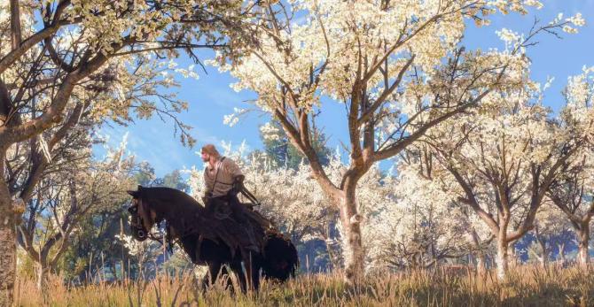 《巫师3:狂猎》