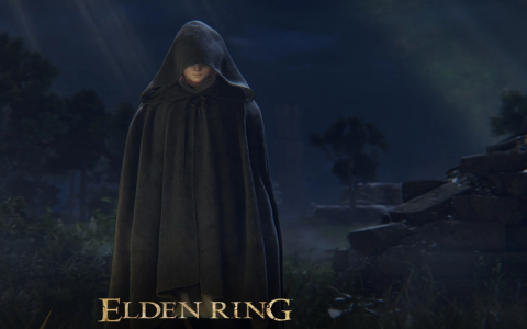 解锁全内容！《艾尔登法环》100%进度存档助力冒险