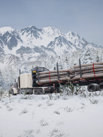 阿拉斯加卡车司机