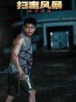 扫毒风暴-宛北往事