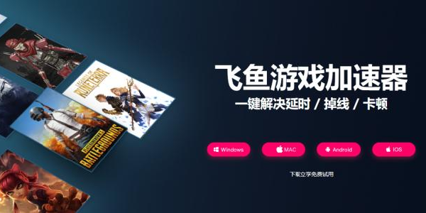 飞鱼加速器：一键解决延时卡顿！