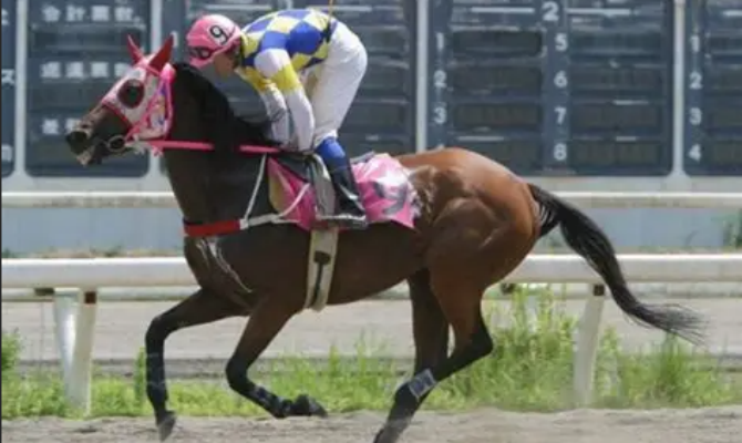 《赛马娘》原型春乌拉拉