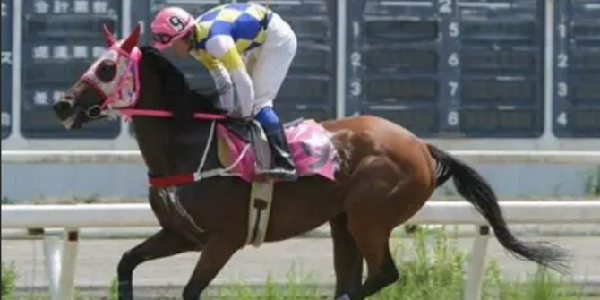 《赛马娘》春乌拉拉原型不胜之马离世！